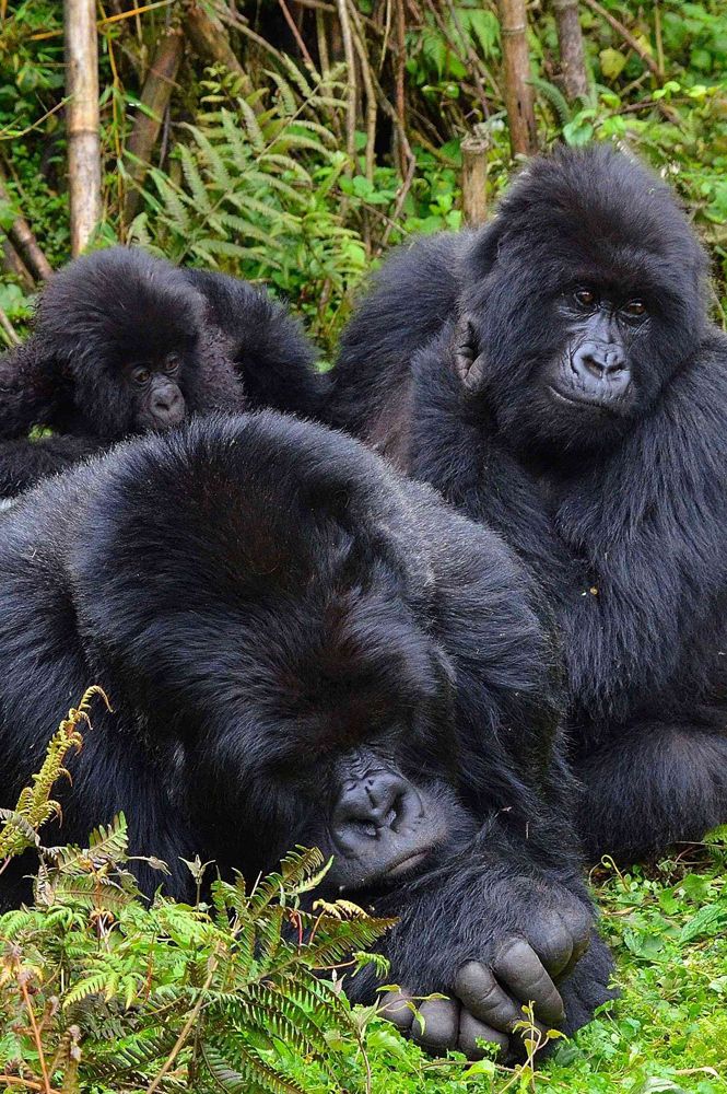 Rwanda
